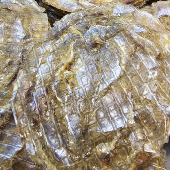 구웠을때 더 맛있는 옛날쥐포 오리지널 20장