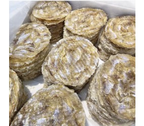 구웠을때 더 맛있는 옛날쥐포 오리지널 20장